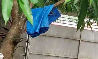 Imagem 3: Casa no parque São Pedro