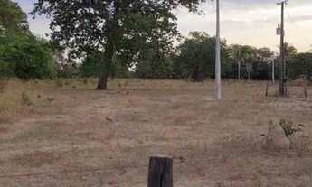 Imagem 2: Oportunidade! Vende-se uma excelente fazenda de 536 Alqueires