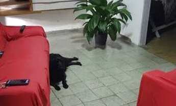 Imagem 2: Aluguel São João Cruz Das Almas