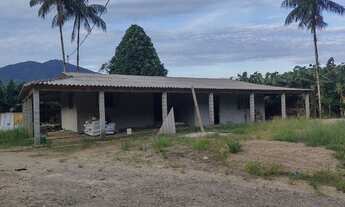 Imagem 5: Sítio 46 hectares Produção de Banana, Pupunha, Rio (Willian Ricardo