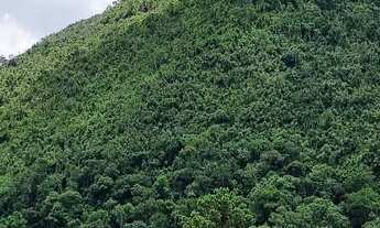 Imagem 7: Sitio em Alfredo Wagner