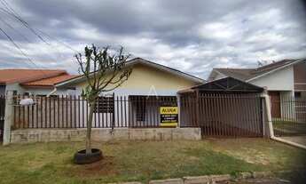 Imagem 1: Casa Residencial 3 quartos para aluguel no Bairro SAO FRANCISCO em TOLEDO por R$ 1.090,00