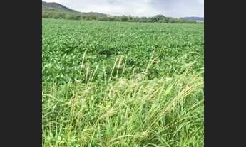 Imagem 2: Vende-se uma excelente fazenda de 666 hectares
