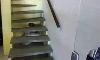 Imagem 5: Vendo Village no condomínio sitio das mangueiras