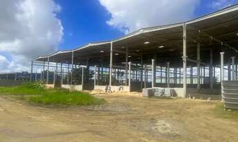 Imagem 5: Excelente Mega Galpão na BR 101 e 369 em Maceió