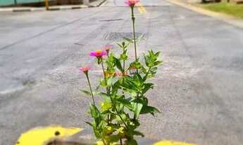 Imagem 5: Apartamento no Demarchi, São Bernardo, 2 dormitórios, 1 vaga