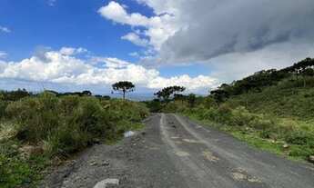 Imagem 4: Sitio em Alfredo Wagner