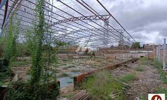 Imagem 6: Terreno (terreno normal