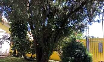 Imagem 4: Casa Monte Libano