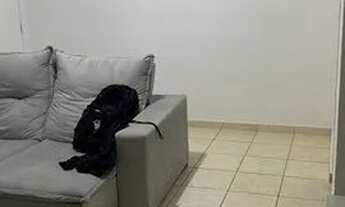 Imagem: Apartamento 2 quartos OPORTUNIDADE