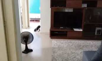 Imagem 4: Apartamento Padrão para Venda em Bom Princípio Gravataí-RS - 2873