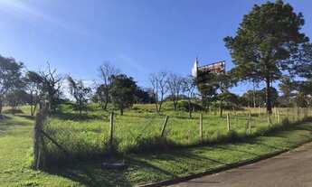 Imagem 7: Terreno - Bairro das Palmeiras - Campinas