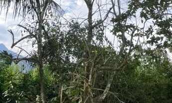 Imagem 2: Vendo casa em Adrianópolis