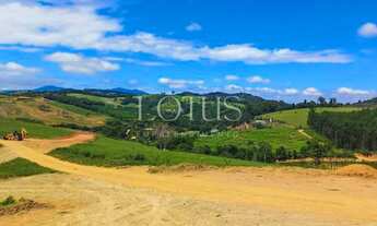 Imagem 7: 83A- LOTES A VENDA, SEM CONSULTA NO SERASA