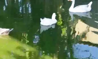 Imagem 2: FAZENDA REAL PAGAMENTO FACILITADO