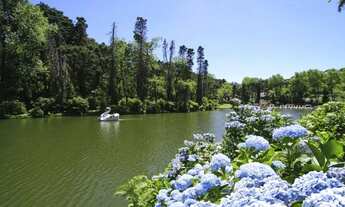 Imagem 6: Terreno - Bairro Parque das Fontes