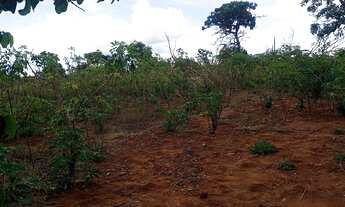 Imagem 6: Chácara próximo Uberlândia 1.000mt