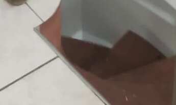 Imagem 4: ALVORADA III PIRACICABA