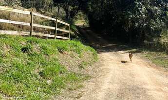 Imagem 4: Terrenos para casa de campo no interior paulista SP