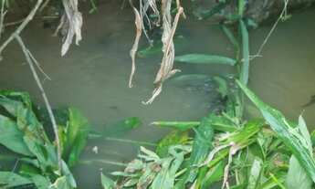 Imagem 7: Lindo terreno Chácara com venda por R$150.000