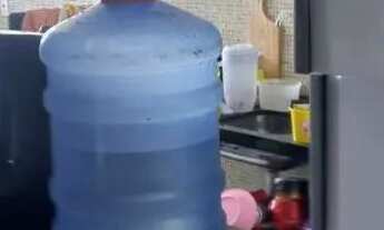 Imagem 4: Alugo imóvel Apartamento com 2 dormitórios