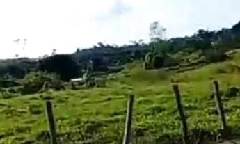 Imagem: Vendo lote município de iracema de 350mt