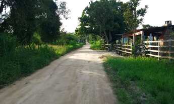 Imagem 3: Vendo bela chácara em Araruama