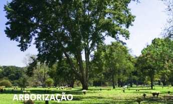 Imagem 3: Jazigo com 3 gavetas e lápide, no Cemitério Parque Iguaçu 2m2
