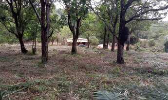 Imagem 7: Terreno a venda avenida principal do Cajueiro