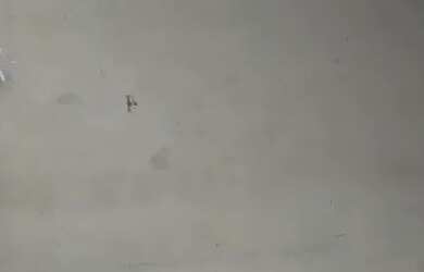 Imagem 4: Aluga se apto de 2 quartos