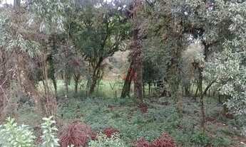 Imagem 7: Terreno à venda em Canela!