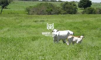 Imagem: GRANDE FAZENDA NO NORTE DE MINAS PARA PECUARIA