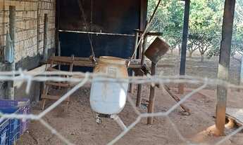 Imagem 7: Vendo chácara 7, 5mil m² Bonfinópolis