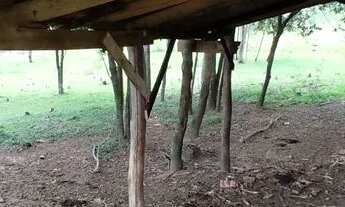 Imagem 7: Sítio, Sapiranga RS, valor 198,900,00