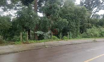 Imagem 2: Terreno à venda em Canela!