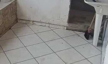 Imagem 4: Casa de um quarto, São Bento (Vila Rosário