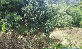 Imagem 2: AREA - NOVA ARUJÁ - SP