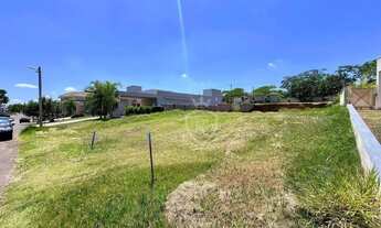 Imagem 4: Terreno plano com mais de 1.000 m² no Condomínio Palmeiras Imperiais