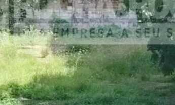 Imagem 5: Terreno para alugar com 684,00 metros quadrados no CENTRO - Teresina - Piauí