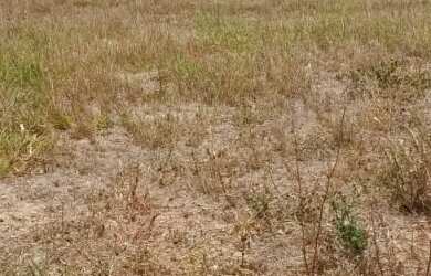 Imagem 4: Lote à venda em rua pública, TABULEIRO DO PINTO, Rio Largo, AL