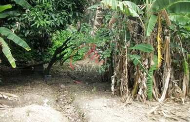 Imagem 3: Terreno Residencial para venda e locação, Jardim Jussara, São Paulo - TE0093