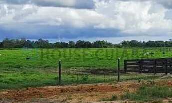 Imagem: FAZENDA SAO VICENTE A VENDA