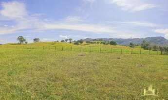 Imagem 5: Fazenda 32 Alqueires - Sanclerlândia Goiás