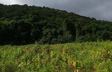 Imagem 4: Boa localização, potencial de valorização e o início de um novo projeto