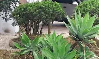 Imagem: Pizzaria com salão e buffet Suzano. Ref