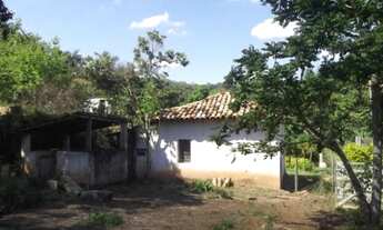 Imagem 7: Sítio comercial com água, 5000m as margens da MG 10. WhatAap * Guilherme