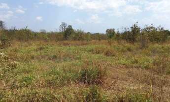 Imagem 2: Fazenda a 85 km de Cuiabá-MT