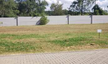 Imagem 2: Nova Santa Rita - Terreno Padrão - Floresta