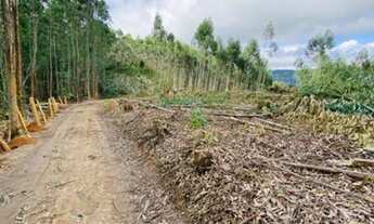 Imagem 5: Cidade turística
