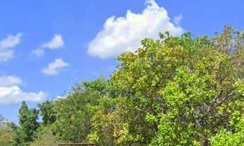 Imagem 5: OPORTUNIDADE Terreno / lote com venda por R$200.000